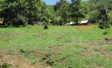 Venta Hermoso campo de 60 Hectáreas junto a la Reserva Nacional Malleco, Chile