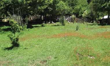 Venta Hermoso campo de 60 Hectáreas junto a la Reserva Nacional Malleco, Chile