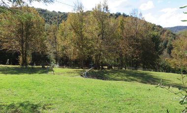 Venta Hermoso campo de 60 Hectáreas junto a la Reserva Nacional Malleco, Chile
