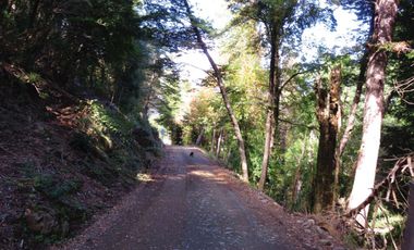 Venta Hermoso campo de 60 Hectáreas junto a la Reserva Nacional Malleco, Chile