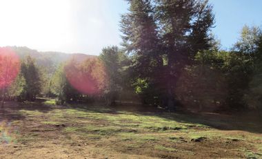 Venta Hermoso campo de 60 Hectáreas junto a la Reserva Nacional Malleco, Chile