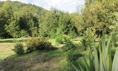 Venta Hermoso campo de 60 Hectáreas junto a la Reserva Nacional Malleco, Chile