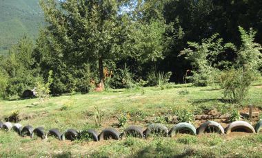 Venta Hermoso campo de 60 Hectáreas junto a la Reserva Nacional Malleco, Chile