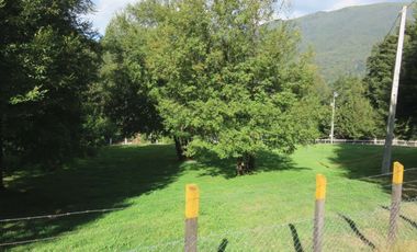 Venta Hermoso campo de 60 Hectáreas junto a la Reserva Nacional Malleco, Chile