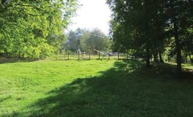 Venta Hermoso campo de 60 Hectáreas junto a la Reserva Nacional Malleco, Chile