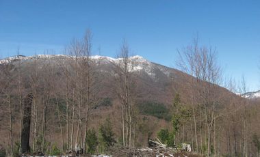 Venta Hermoso campo de 60 Hectáreas junto a la Reserva Nacional Malleco, Chile