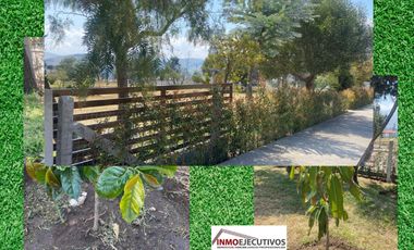 Quinta en Urbanización cerrada. Tabacundo
