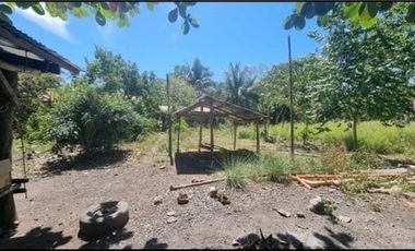 Lot for Sale in Catadman, Catmon Cebu
