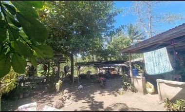 Lot for Sale in Catadman, Catmon Cebu