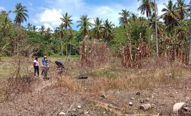 Lot for Sale in Canseja Flores Catmon Cebu