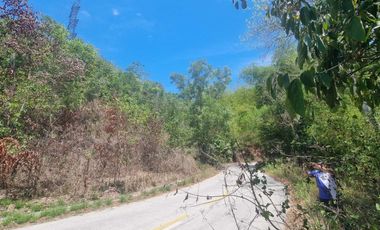 Lot For Sale in Cambatete Corazon Catmon Cebu