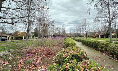 Piedra Roja Chicureo Oriente