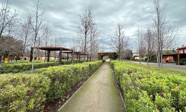 Piedra Roja Chicureo Oriente