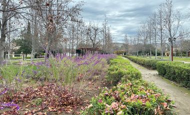 Piedra Roja Chicureo Oriente