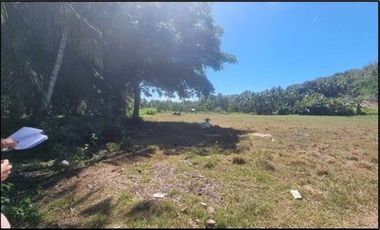 Lot for Sale in San Jose Catadman Poblacion Catmon Cebu