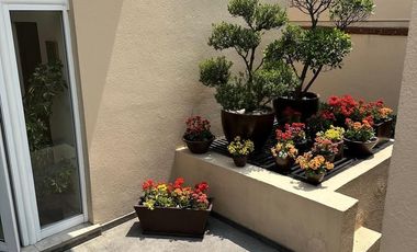 RENTA O VENTA RESIDENCIA EN PEDREGAL DE SAN FRANCISCO, COYOACÁN