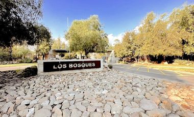 Piedra Roja, Chicureo Oriente