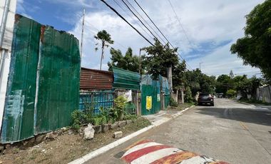 For Sale: Vacant Lot in BF Homes Paranaque (BF Homes Phase 3)