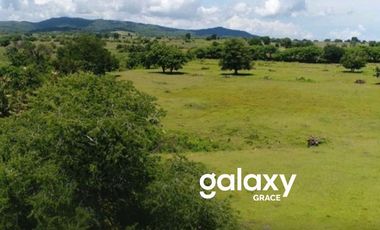 DIJUAL TANAH BEACHFRONT TELUK SALEH MOYOHILIR SUMBAWA, NTB