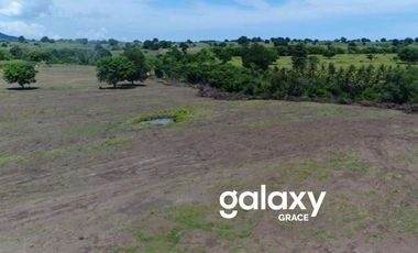 DIJUAL TANAH BEACHFRONT TELUK SALEH MOYOHILIR SUMBAWA, NTB