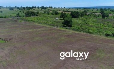 DIJUAL TANAH BEACHFRONT TELUK SALEH MOYOHILIR SUMBAWA, NTB