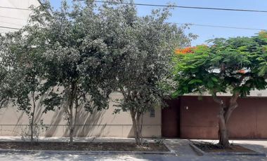 VENDO CASA  CERCA A PRIMAVERA  392M2. (PRECIO CONVERSABLE)