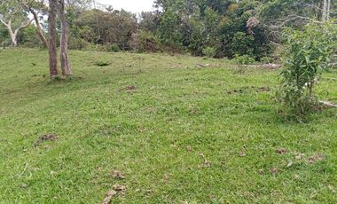 Venta Finca Ganadera y Agrícola en San Roque Antioquia