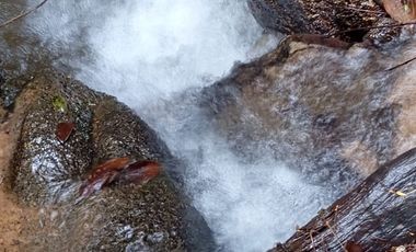 Venta Finca Ganadera y Agrícola en San Roque Antioquia