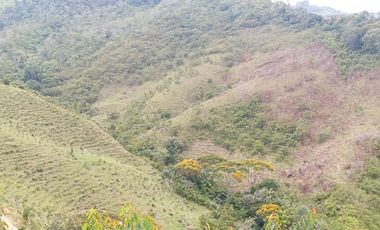 Venta Finca Ganadera y Agrícola en San Roque Antioquia