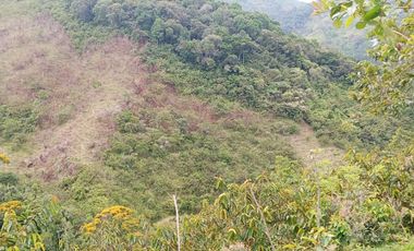 Venta Finca Ganadera y Agrícola en San Roque Antioquia