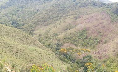 Venta Finca Ganadera y Agrícola en San Roque Antioquia