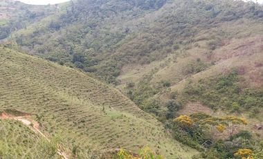 Venta Finca Ganadera y Agrícola en San Roque Antioquia