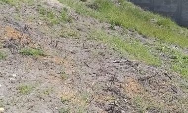 SE VENDE AMPLIO TERRENO EN SAN FELIPE DEL AGUA