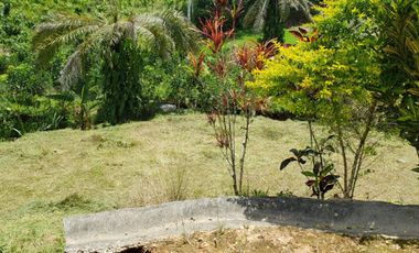 Venta Terreno Urbanización El Manantial Puerto Quito. Área 1.045 m² $28.500