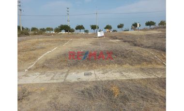 Venta De Terreno En Campiña De Piura-1 Etapa En Av.Evitamiento Y Ovalo Chulucanas ID 1114613