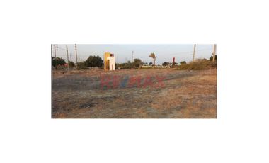 Venta De Terreno En Campiña De Piura-1 Etapa En Av.Evitamiento Y Ovalo Chulucanas ID 1114613