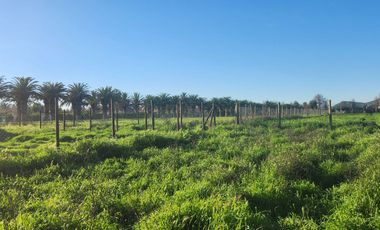 PARCELA CON 2 CASAS NUEVAS, ISLA DE MAIPO CAMINO CARAMPANGUE.