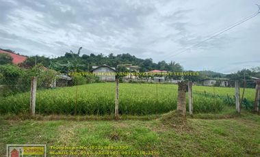 House and Lot for Sale in Baraoas Norte, Naguilian, La Union