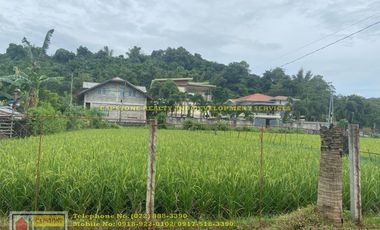 House and Lot for Sale in Baraoas Norte, Naguilian, La Union