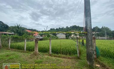 House and Lot for Sale in Baraoas Norte, Naguilian, La Union