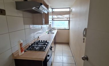 Céntrico departamento en Concepción