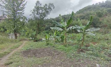 Dijual Tanah Pinggir Jalan Raya Nasional