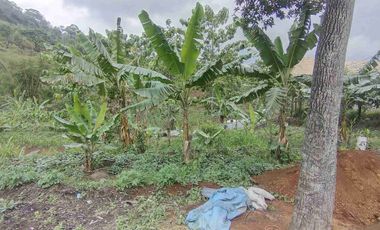 Dijual Tanah Pinggir Jalan Raya Nasional