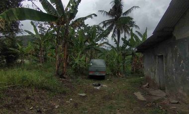 Dijual Tanah Pinggir Jalan Raya Nasional