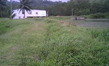 VENTA DE TERRENO 19,6 HA EN MUISNE CON PROYECTO INMOBILIARIO APROBADO