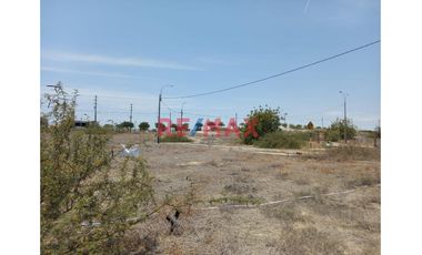 Venta De Terreno En Campiña De Piura- En Av.Evitamiento Con Ovalo Chulucanas.ID:1114731