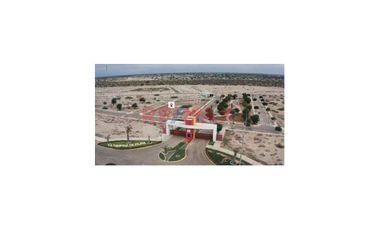 Venta De Terreno En Campiña De Piura- En Av.Evitamiento Con Ovalo Chulucanas.ID:1114761