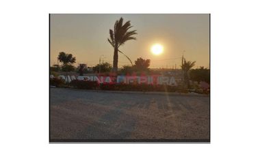 Venta De Terreno En Campiña De Piura- En Av.Evitamiento Con Ovalo Chulucanas.ID:1114956