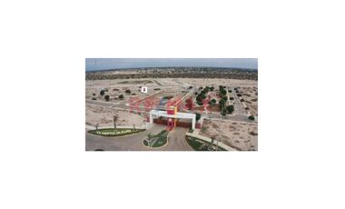 Venta De Terreno En Campiña De Piura- En Av.Evitamiento Con Ovalo Chulucanas.ID:1114956