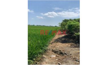 SE VENDE TERRENO EN TUMBES